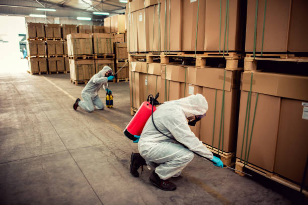 Best Rat Extermination Near Me  in Trumansburg, NY