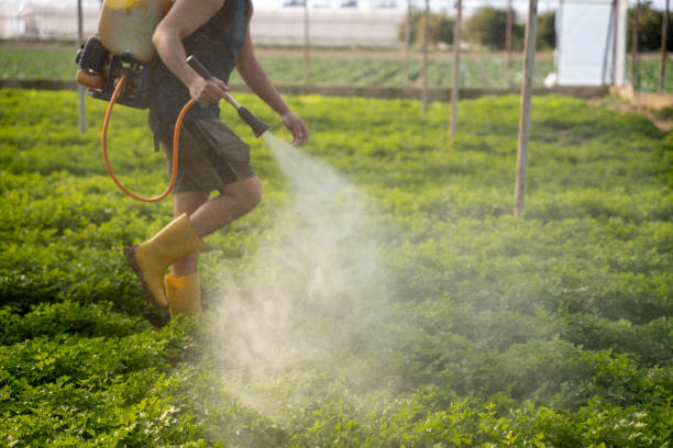Best Pest Removal Services  in Trumansburg, NY