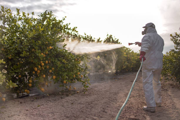 Best Wasp Removal Services  in Trumansburg, NY