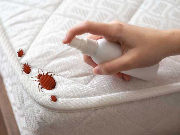 Best Wildlife Control Services  in Trumansburg, NY