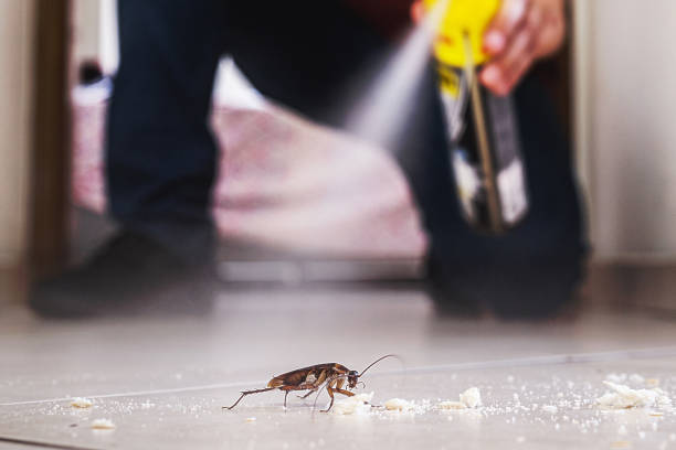 Best Best Pest Control Companies  in Trumansburg, NY