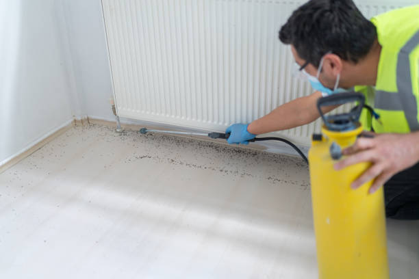 Best Cockroach Control Services  in Trumansburg, NY