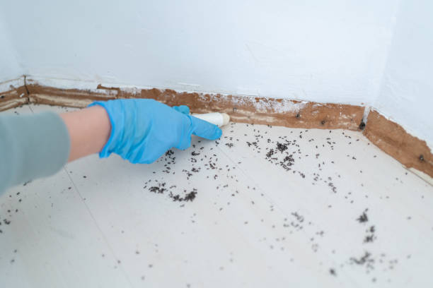 Best Residential Pest Control  in Trumansburg, NY