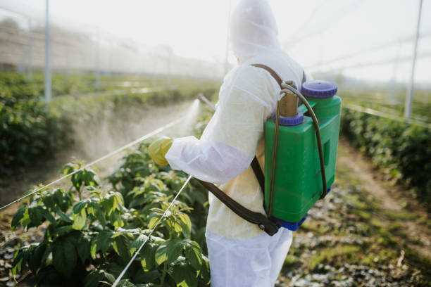 Best Local Pest Control Services  in Trumansburg, NY